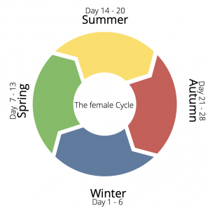 Your Cycle in seasons...erfolgskeks